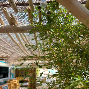 copy of Natural coconut...